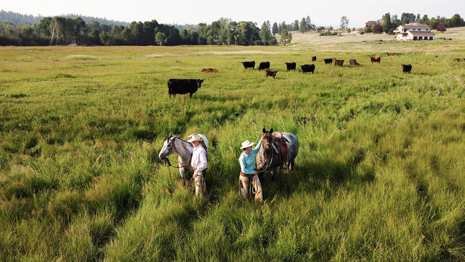 Oxbow pasture
